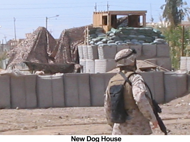 New dog House