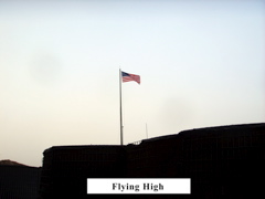 Flying high_r