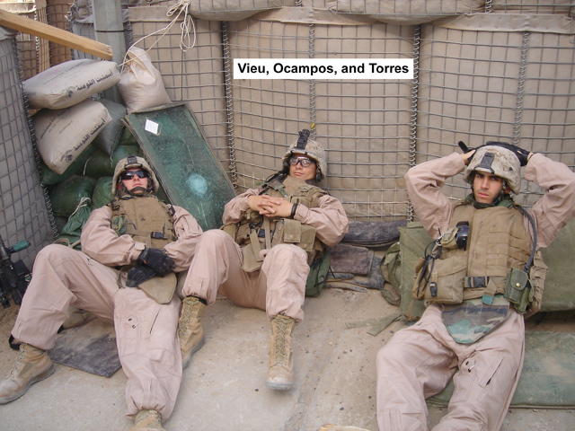 Vieu, Ocampos and Torres_r