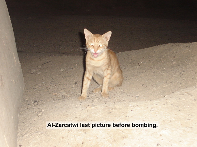 Al-Zarcatwi_r