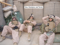 Vieu, Ocampos and Torres_r