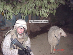 Sgt. Brower working a local girl_s