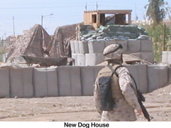 New dog House